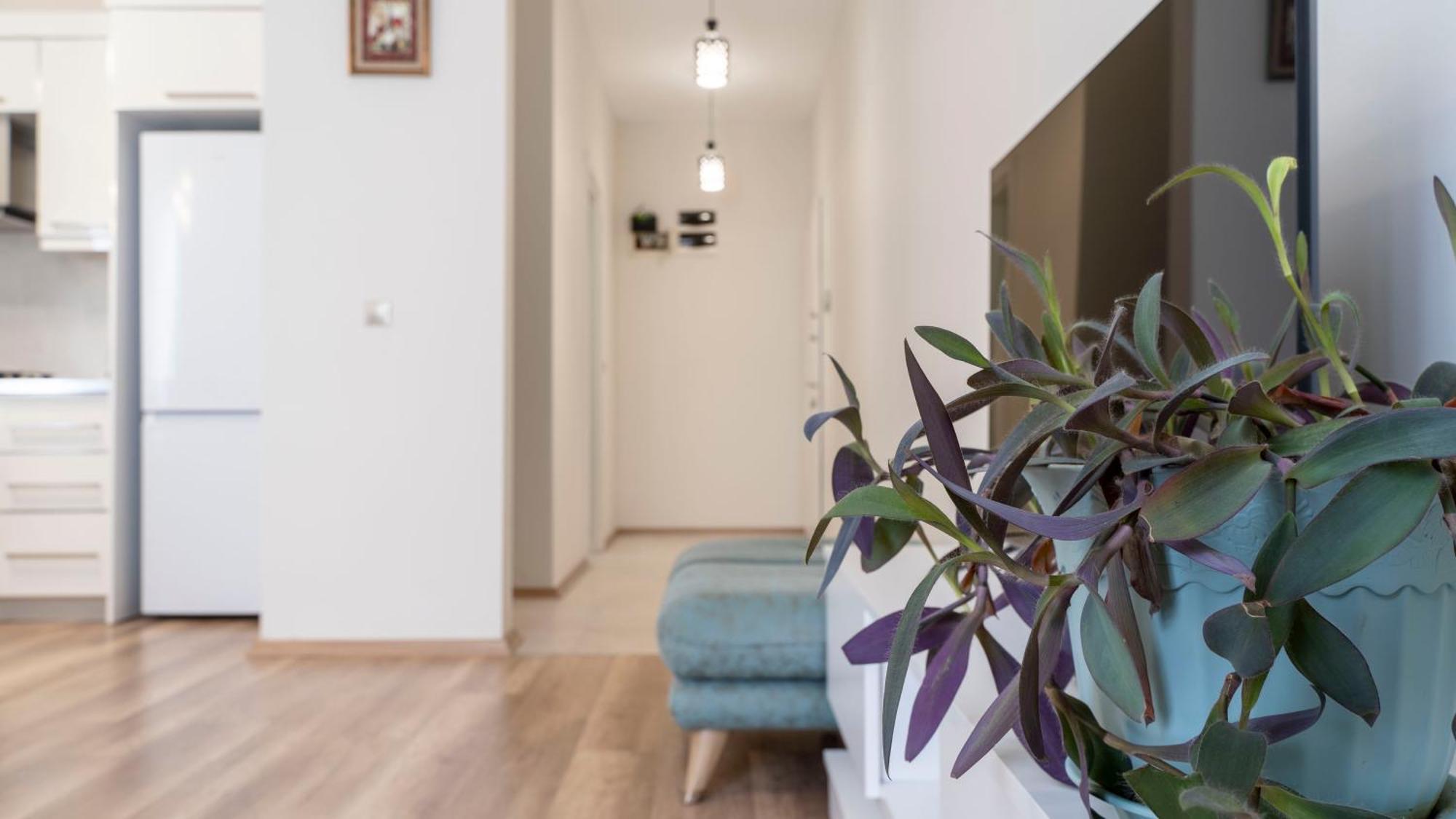 Apartment In Tbilisi “Green Budapest “ Exterior photo